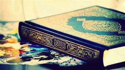 رد فعل العرب بعد تقطيع نسخة من المصحف بهولندا