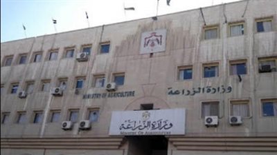 الحكومة تخصص أرقام تليفونات للابلاغ عن رفع الأسعار فى الأسواق