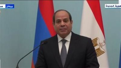 السيسي: المباحثات مع رئيس أرمينيا كانت مثمرة واتفقنا على زيادة حجم التبادل التجاري