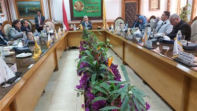 مجلس جامعة المنيا يعلن الانتهاء من إعلان النتائج والجداول الدراسية نهاية الأسبوع 
