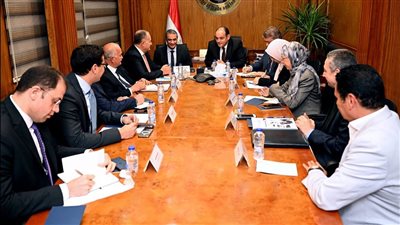 وزير التجارة يبحث فرص ومقومات تطوير صناعة الجلود والمنتجات الجلدية في مصر