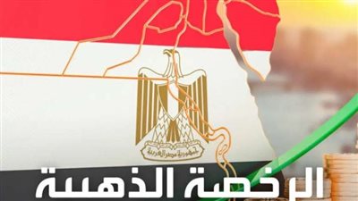 الحكومة تطرح 4 جدد.. اعرف قصة الرخصة الذهبية