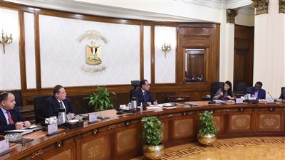 رئيس الوزراء يتابع مع وزير الكهرباء موقف المشروعات الجاري تنفيذها