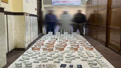 بنطاق الإسكندرية والدقهلية.. 