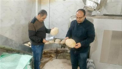 تموين الدقهلية.. ضبط ٥٩ مخالفة على المخابز والأسواق بمركز بلقاس 