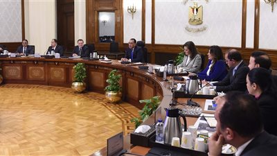 رئيس الوزراء يستعرض خطة الطروحات قبل الإعلان عنها