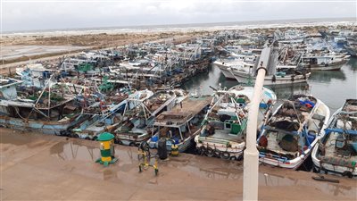 توقف حركة الملاحة بكفر الشيخ لسوء حالة الطقس واستمرار الأجواء الباردة 