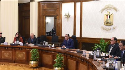 مدبولي يجتمع بوزير المالية لمراجعة مشروعات قوانين تتضمن  تيسيرات ضريبية لتحفيز القطاع الصناعي