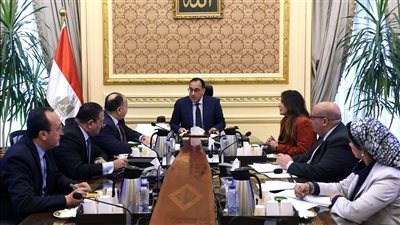 مدبولي يجتمع بوزير المالية لمراجعة مشروعات قوانين تتضمن تيسيرات ضريبية لتحفيز القطاع الصناعي