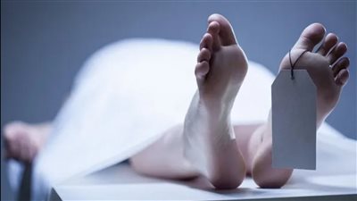 ورا مصنع الكراسي.. الحلقة الخامسة 