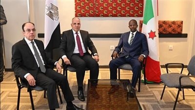 وزير الري يلتقى بنظيره البوروندى لبحث سبل تعزيز التعاون بين البلدين