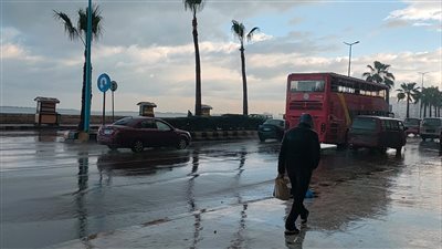 أمطار في الإسكندرية.. و9 أرقام لمواجهة الأزمات