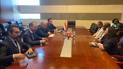 وزير الخارجية يلتقي مع وزير خارجية جزر القمر على هامش أعمال المجلس التنفيذي للاتحاد الإفريقي