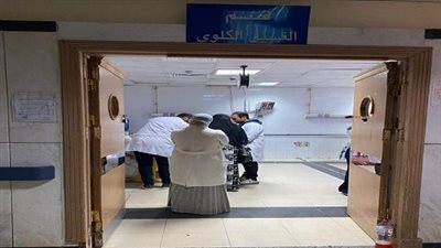 صحة الدقهلية.. جلسات 