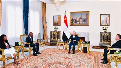 لمواصلة تدعيم العلاقات.. الرئيس السيسي يتسلم رسالة خطية من نظيره الكيني