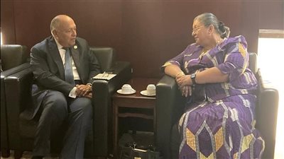 وزير الخارجية يلتقي مع مبعوثة سكرتير عام الأمم المتحدة الخاصة للقرن الإفريقي