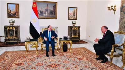 الرئيس السيسي يجتمع مع سامح شكري.. وهذا ما دار باللقاء