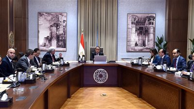 رئيس الوزراء يستعرض مع وزير التعليم العالى أهداف المنصة الإلكترونية للإرشاد المهني لطلاب الجامعات