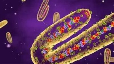 أسبانيا: اكتشاف أول إصابة بفيروس ماربورج المميت