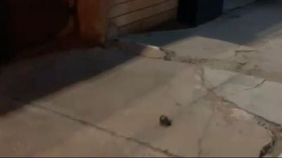 عاجل.. استهداف مكتب قناة 