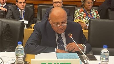  شكري يستعرض نتائج COP27 أمام لجنة رؤساء الدول والحكومات الأفارقة المعنية بتغير المُناخ