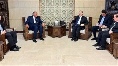 شكرى يلتقى الأسد