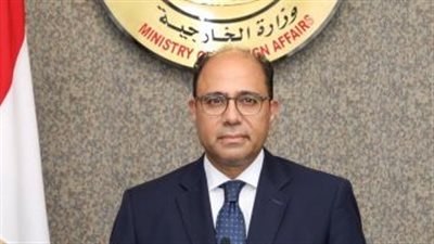 الخارجية المصرية تقدم التعازي للبرازيل في ضحايا الفيضانات