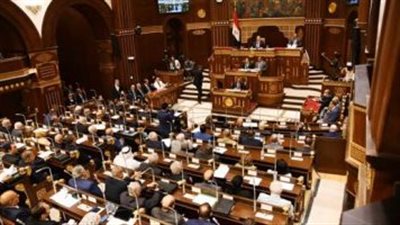 موعد نتيجة انتخابات مجلس الشيوخ 2025