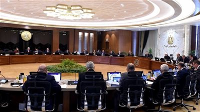 قرارات مجلس الوزراء × 7 أيام.. تعرف عليها 