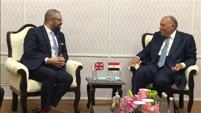 شكري يلتقي مع وزير خارجية بريطانيا على هامش إجتماعات وزراء خارجية مجموعة العشرين