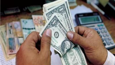 الحكومة: لا صحة لاعتزام الحكومة استقطاع جزء من تحويلات المصريين في الخارج