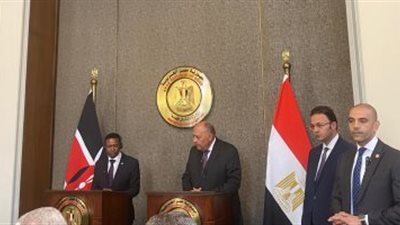 وزير الخارجية: ندعو إثيوبيا لاتفاق حول سد النهضة ومصر ستحمى حقوقها المائية