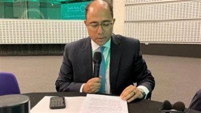 متحدث الخارجية يطرح رؤية مصر بشأن أهمية التعامل مع الإرهاب فى 