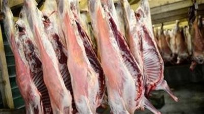 الحكومة تنفى استيراد لحوم مصابة بجنون الأبقار وطرحها بالأسواق
