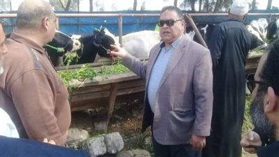 بالصور.. تحصين  76610 رأس ماشية على مستوى الدقهلية 