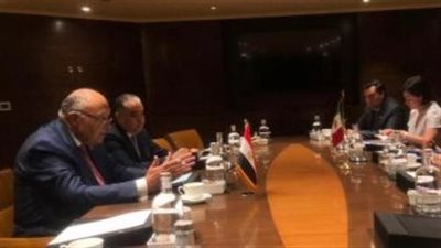 شكري يبحث مع نظيره المكسيكي أزمة الغذاء وتداعيات الأزمة الروسية الأوكرانية