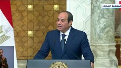 الرئيس السيسي: مستعدون لتقديم جميع التسهيلات لعمل الشركات الدنماركية فى مصر