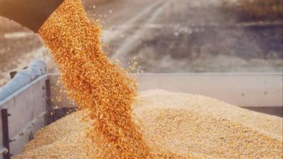 وزير الزراعة: الإفراج عن 166 ألف طن أعلاف بحوالى 81 مليون دولار خلال أسبوع