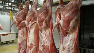 بمناسبة رمضان .. الأوقاف: توزيع 10 أطنان لحوم يوميًا على على الأسر الأولى بالرعاية