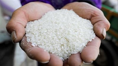 حتى “منتصف شهر أغسطس”.. غرفة الحبوب: لا توجد أزمات  في سلعة  الأرز