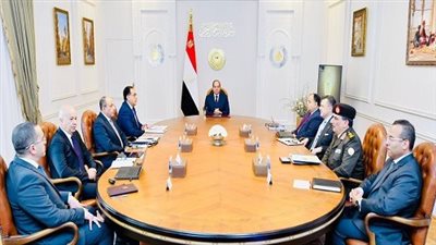 الرئيس السيسي يتابع المشروعات الخاصة بقطاعي الطيران المدني والسياحة