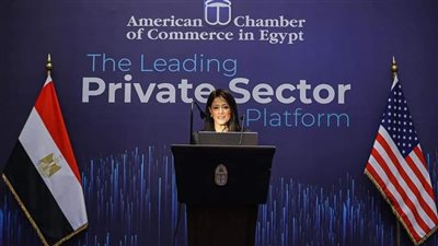 المشاط: شراكاتنا الدولية لا تستهدف فقط التمويلات لكن أيضًا الدعم الفني