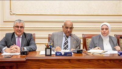 طاقة الشيوخ تناقش مستجدات ملف الوقود الأخضر في اقتصادية قناة السويس