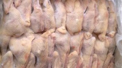 طرح دواجن مجمدة بمنافذ المجمعات الاستهلاكية بسعر 65 جنيها للكيلو