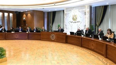 الحكومة تعفى 25 ألف طن دواجن مجمدة من الضرائب الجمركية