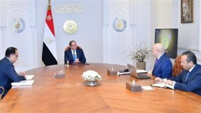 الرئيس السيسي يطلع على تطورات سير العمل فى سد 