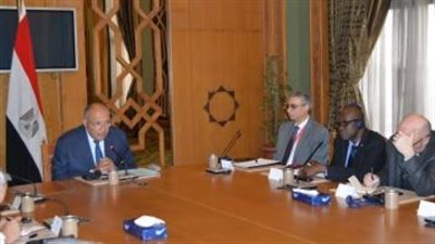 شكرى فى اجتماع بسفراء التعاون الإسلامى: لا بديل عن معالجة 