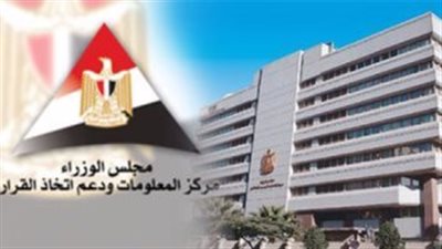 فيتش: تجارة التجزئة الإلكترونية تشهد نمواً قوياً فى مصر السنوات القادمة