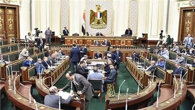مجلس النواب يوافق على قانون أكاديمية الشرطة فى المجموع