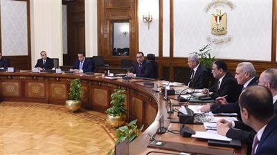 رئيس الوزراء: التوافق مع البنك المركزى على توفير التمويل اللازم للأدوية المطلوبة